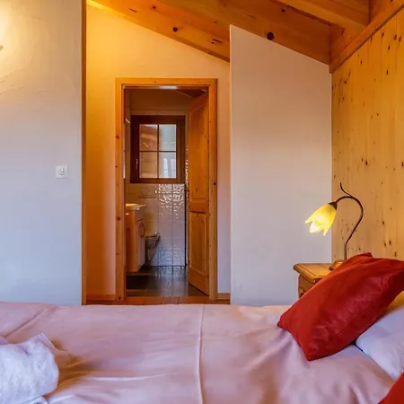 Groot 10 Pers Ski-in Chalet Met Openhaard En Garage